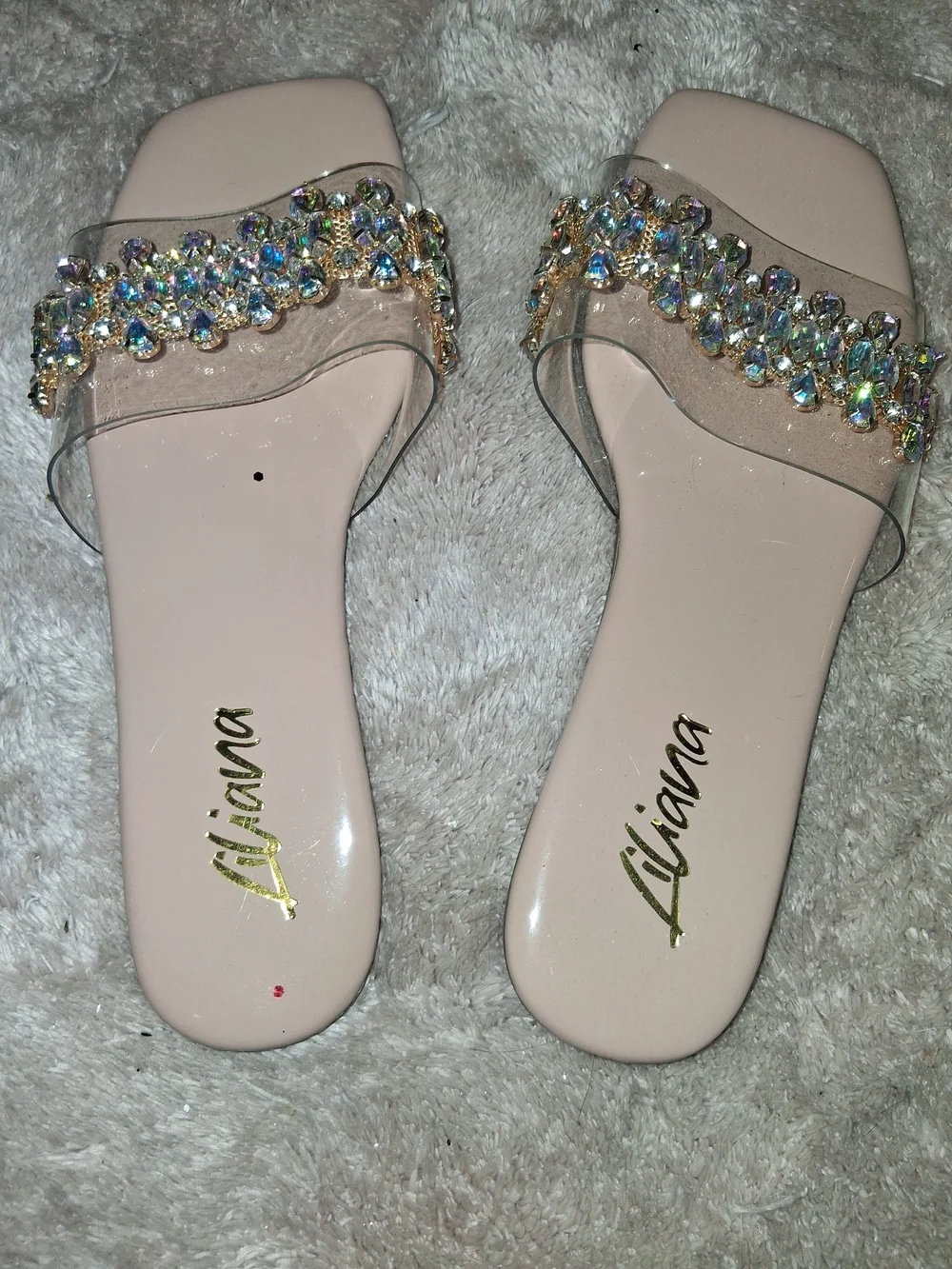 Liana Nude Embellished Crystal Slide Sandals